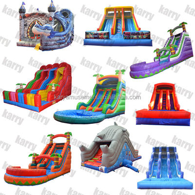 5-10 Passenger Commercial Grade Inflatable Water Slides with Pool