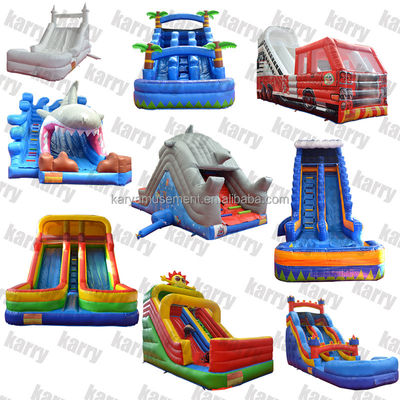 5-10 Passenger Commercial Grade Inflatable Water Slides with Pool