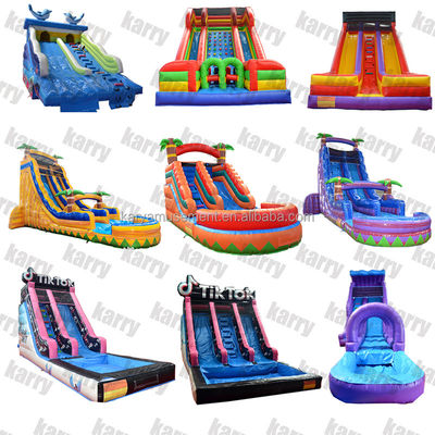 5-10 Passenger Commercial Grade Inflatable Water Slides with Pool