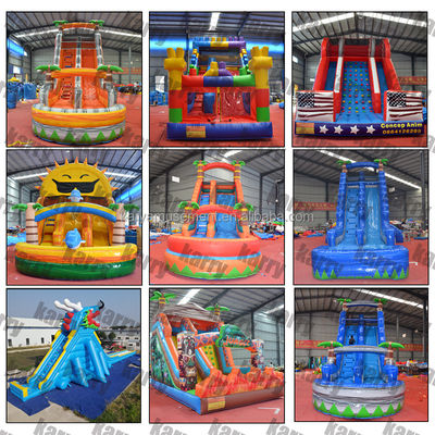 5-10 Passenger Commercial Grade Inflatable Water Slides with Pool