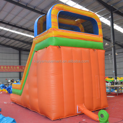 Castle Rental Palm Tree Inflatable Bouncy Castle with Slide Pool CE/EN71/EN14960 Certified