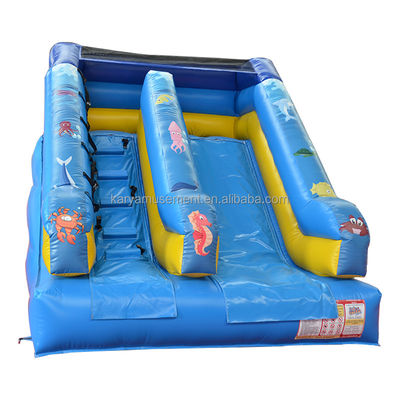 Customized Small Inflatable Bouncer Slide for Commercial Occasions 5-10 Passengers