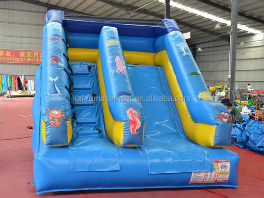 Customized Small Inflatable Bouncer Slide for Commercial Occasions 5-10 Passengers
