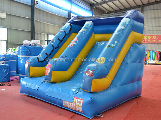 Customized Small Inflatable Bouncer Slide for Commercial Occasions 5-10 Passengers
