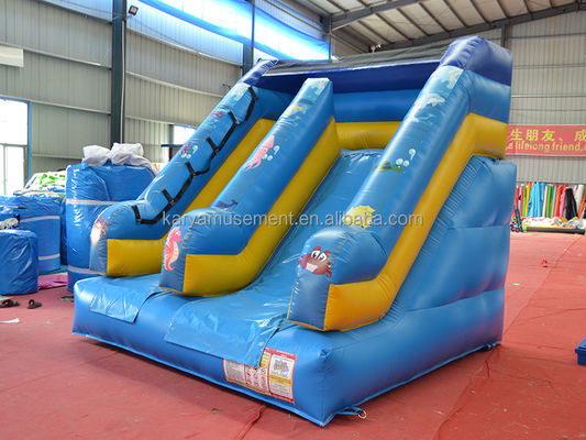 Customized Small Inflatable Bouncer Slide for Commercial Occasions 5-10 Passengers