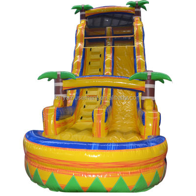 Customized Color Certificate CE/EN71/EN14960 Inflatable Water Jumping Slide with Pool