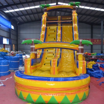Customized Color Certificate CE/EN71/EN14960 Inflatable Water Jumping Slide with Pool