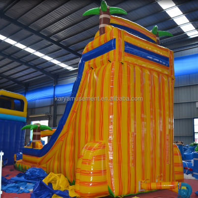 Customized Color Certificate CE/EN71/EN14960 Inflatable Water Jumping Slide with Pool