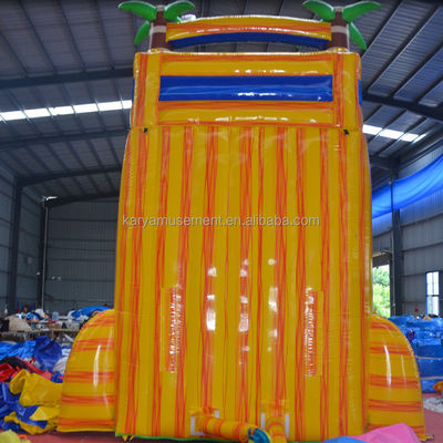 Customized Color Certificate CE/EN71/EN14960 Inflatable Water Jumping Slide with Pool
