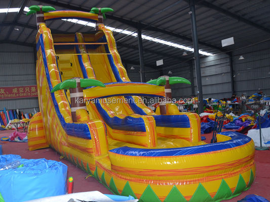 Customized Color Certificate CE/EN71/EN14960 Inflatable Water Jumping Slide with Pool