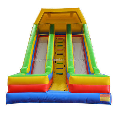 Backyard Inflatable Water Slide 2 Lanes and Pools Kids Water Playground Park Games Slide