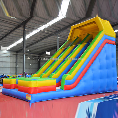 Backyard Inflatable Water Slide 2 Lanes and Pools Kids Water Playground Park Games Slide