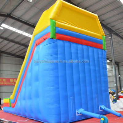 Backyard Inflatable Water Slide 2 Lanes and Pools Kids Water Playground Park Games Slide