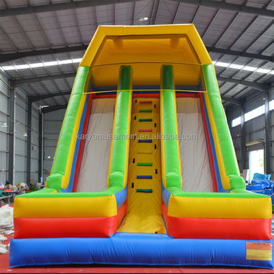 Backyard Inflatable Water Slide 2 Lanes and Pools Kids Water Playground Park Games Slide