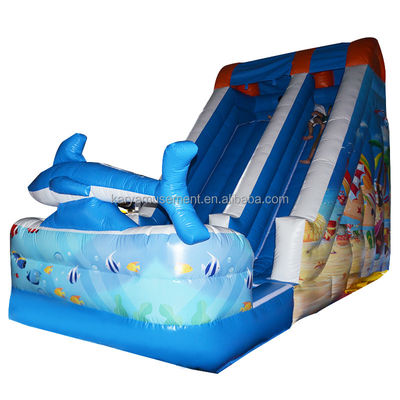 Experience the Thrill of our Style Inflatable Water Slide with Pool Shipping Worldwide