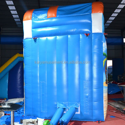 Experience the Thrill of our Style Inflatable Water Slide with Pool Shipping Worldwide