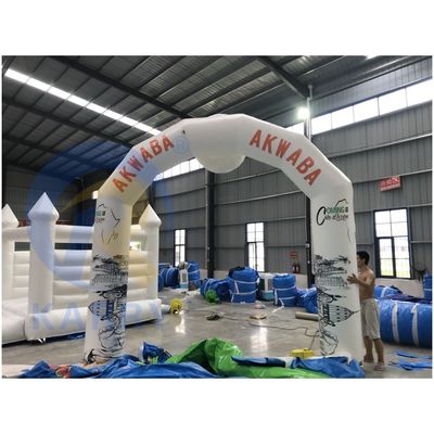 Outdoor Playground Inflatable Sky Air Dancer with Fly Guy Costume and Blower