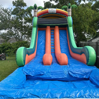 Commercial Grade Inflatable Water Slide with Double Lane and Tropical Palm Theme