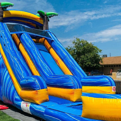 Max Capacity 100-500kg Adult Palm Tree Inflatable Water Park Equipment with Pool