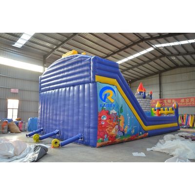 Blue Inflatable Bouncy Castle Playground for Kids OEM Accepted Classic Cartoon Design