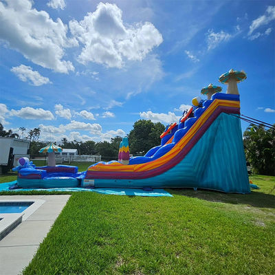Stimulating Ocean Color Water Slide Games PVC Inflatable with Big Flower-Shaped Pool