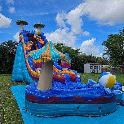 Stimulating Ocean Color Water Slide Games PVC Inflatable with Big Flower-Shaped Pool
