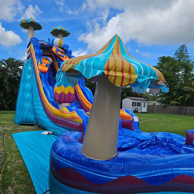 Stimulating Ocean Color Water Slide Games PVC Inflatable with Big Flower-Shaped Pool