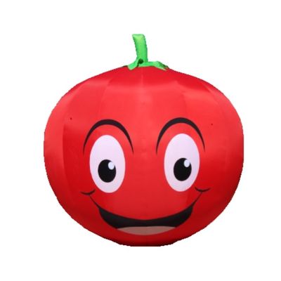 Eye-Catching Inflatable Strawberry and Lemon Models for Advertising CE Certificate