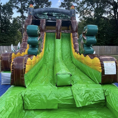 Unleash Your Imagination Tropical Jungle Dino Theme Water Slide with Splash Pool Fun