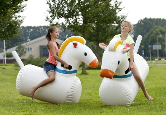 Interactive Sport Games Inflatable Derby Race Horse for Kids and Adults Materia PVC