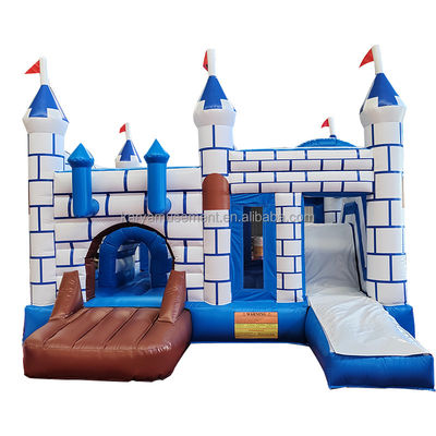 Commercial PVC Bouncy Castle Combo with Slide Unisex Blue and White Castle Playground