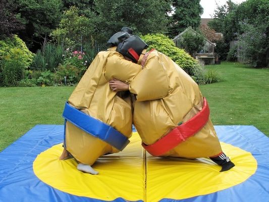 CE Blower Repair Accessories Included Colorful Sumo Wrestling Suit for Kids and Adults