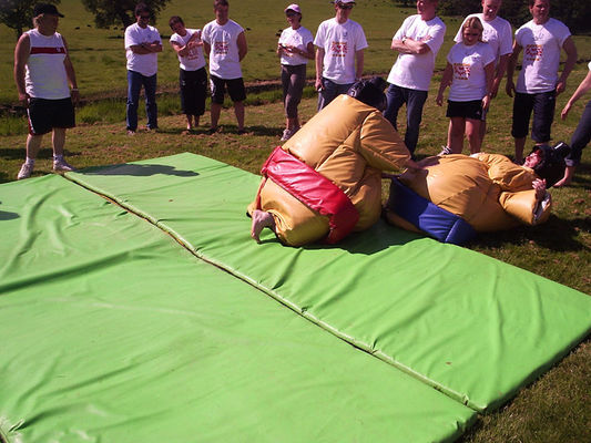 CE Blower Repair Accessories Included Colorful Sumo Wrestling Suit for Kids and Adults