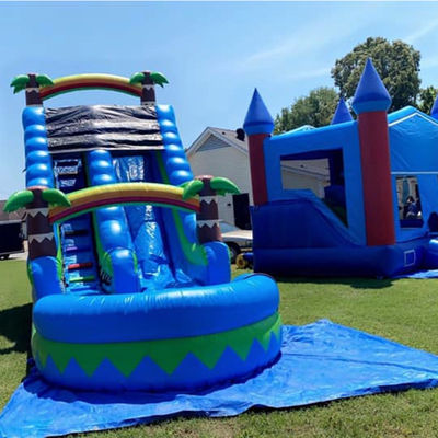 CE/EN71/EN14960 Certified 30ft Outdoor Water Park Blue Tropical Palm Tree Water Slide for 5-10 Passengers