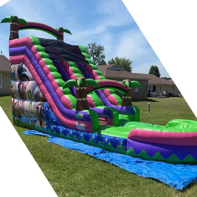 CE/EN71/EN14960 Certified 30ft Outdoor Water Park Blue Tropical Palm Tree Water Slide for 5-10 Passengers