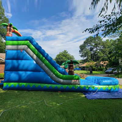 CE/EN71/EN14960 Certified 30ft Outdoor Water Park Blue Tropical Palm Tree Water Slide for 5-10 Passengers