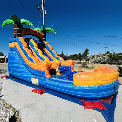 Customizable Commercial Rental PVC Inflatable Water Park with Palm Tree Water Slide