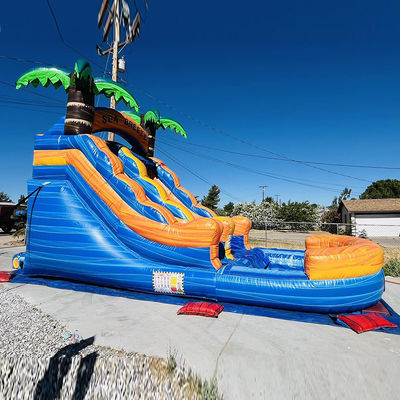 Customizable Commercial Rental PVC Inflatable Water Park with Palm Tree Water Slide