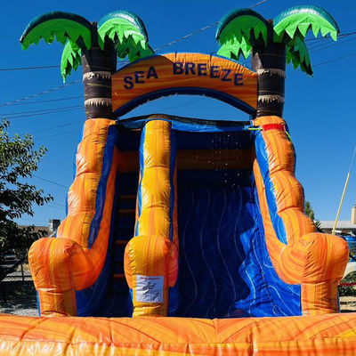 Customizable Commercial Rental PVC Inflatable Water Park with Palm Tree Water Slide