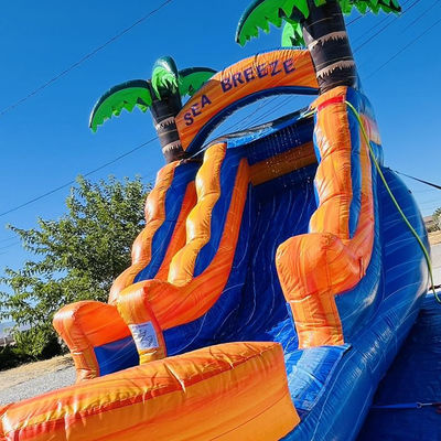 Customizable Commercial Rental PVC Inflatable Water Park with Palm Tree Water Slide