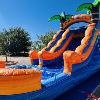 Customizable Commercial Rental PVC Inflatable Water Park with Palm Tree Water Slide