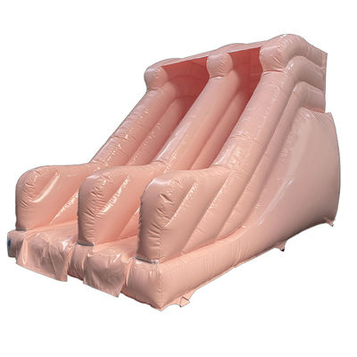 Outdoor Commercial PVC Chocolate Color Inflatable Dry or Wet Slide for Party Rentals
