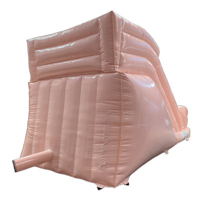 Outdoor Commercial PVC Chocolate Color Inflatable Dry or Wet Slide for Party Rentals