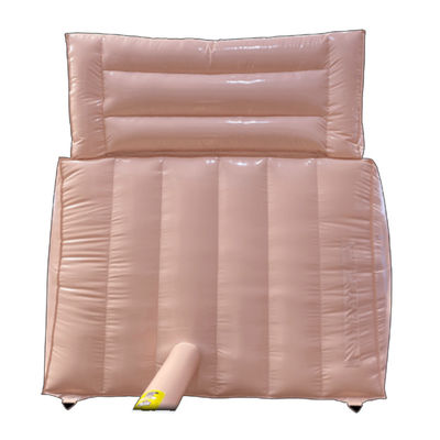 Outdoor Commercial PVC Chocolate Color Inflatable Dry or Wet Slide for Party Rentals