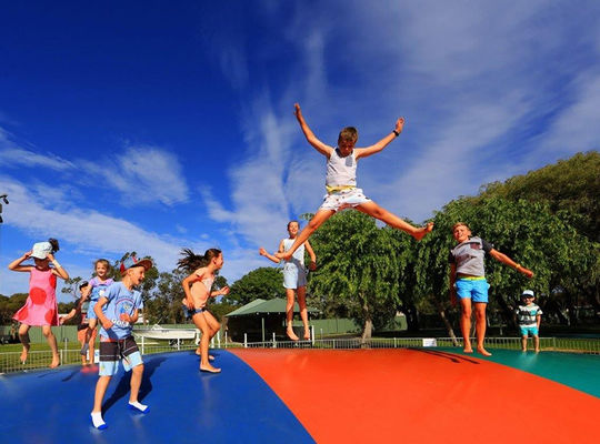 Customized Kids Inflatable Kangaroo Jumper with EN14960 Certification and PVC Material