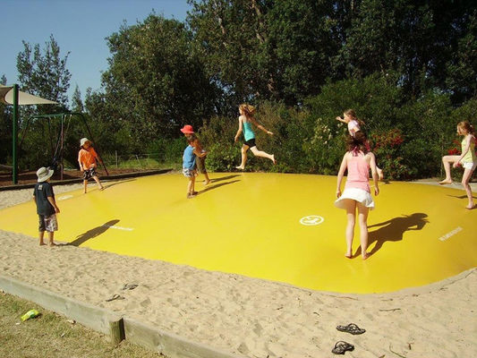Customized Kids Inflatable Kangaroo Jumper with EN14960 Certification and PVC Material