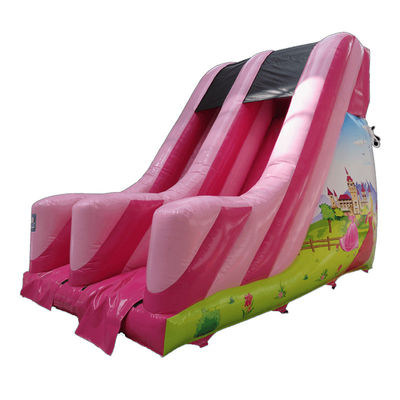 Commercial Rental PVC Small Pink Inflatable Slide with CE/EN71/EN14960 Certification