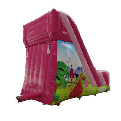 Commercial Rental PVC Small Pink Inflatable Slide with CE/EN71/EN14960 Certification