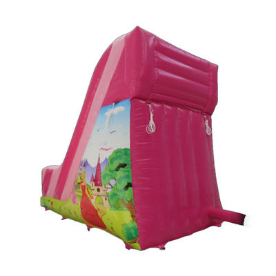 Commercial Rental PVC Small Pink Inflatable Slide with CE/EN71/EN14960 Certification