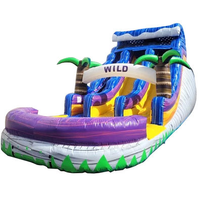 Large Pool Kids Bounce Slide House Party Commercial Tropical Palm Trees Water Slide with Two Slip n Slide